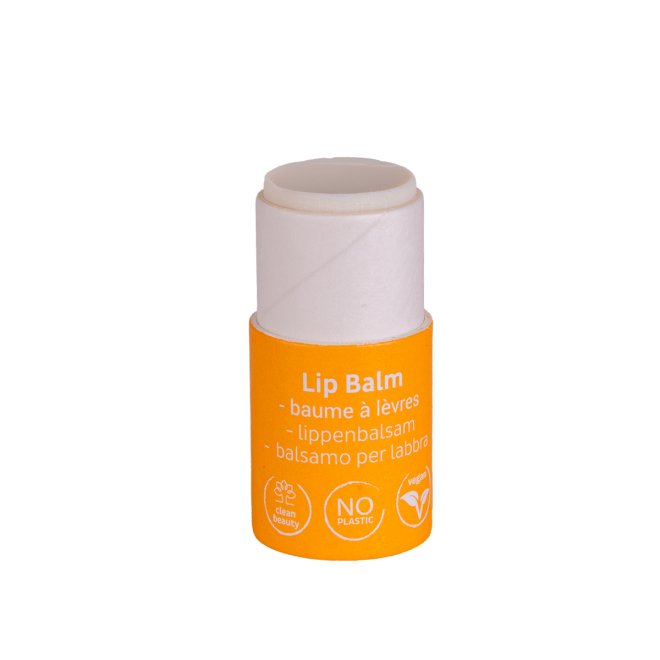  Balsam de buze cu aloe vera, SPF20, zero plastic, Beauty Made Easy, 5.5 g